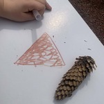 Szyszka na białej kartce