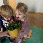 Dziewczynka i chłopiec wąchają stokrotkę