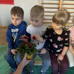Dzieci dotykają stokrotkę