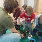 Chłopiec podlewa cebulki kwiatów
