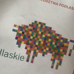 Żubr jako symbol podlasia