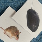Obrazek myszy komputerowej oraz myszy polnej
