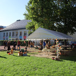 Rodzice i dzieci podczas pikniku